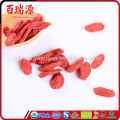 Health food goji berry producer